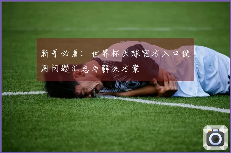 新手必看：世界杯买球官方入口使用问题汇总与解决方案