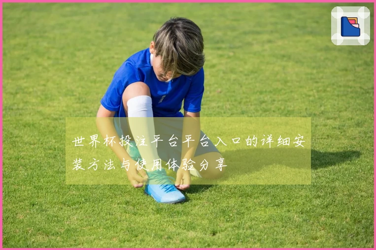 世界杯投注平台平台入口的详细安装方法与使用体验分享