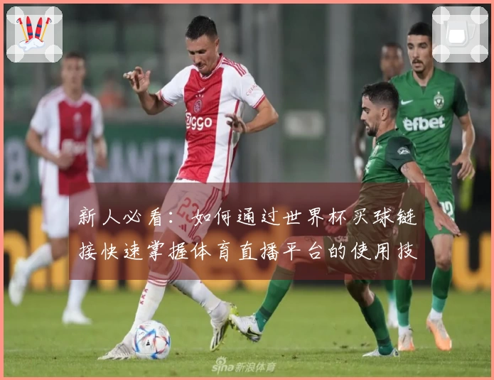 新人必看：如何通过世界杯买球链接快速掌握体育直播平台的使用技巧与功能介绍