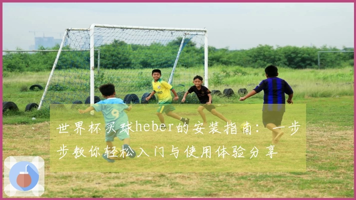 世界杯买球heber的安装指南：一步步教你轻松入门与使用体验分享